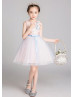 Embroidery Lace Tulle Flower Girl Dress Kid Party Dress